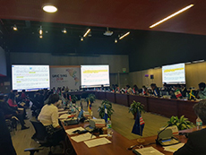Tercera Reunión Ordinaria de 2018 del Grupo de Revisión e Implementación de Cumbres (GRIC)
