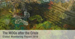 The World Bank: The MDGs after the Crisis